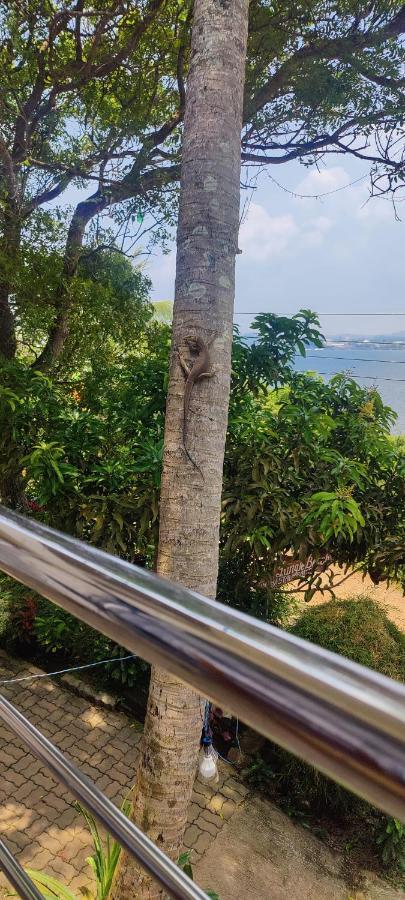 Jungle Beach Restaurant And Hotel-Jbr Galle Kültér fotó